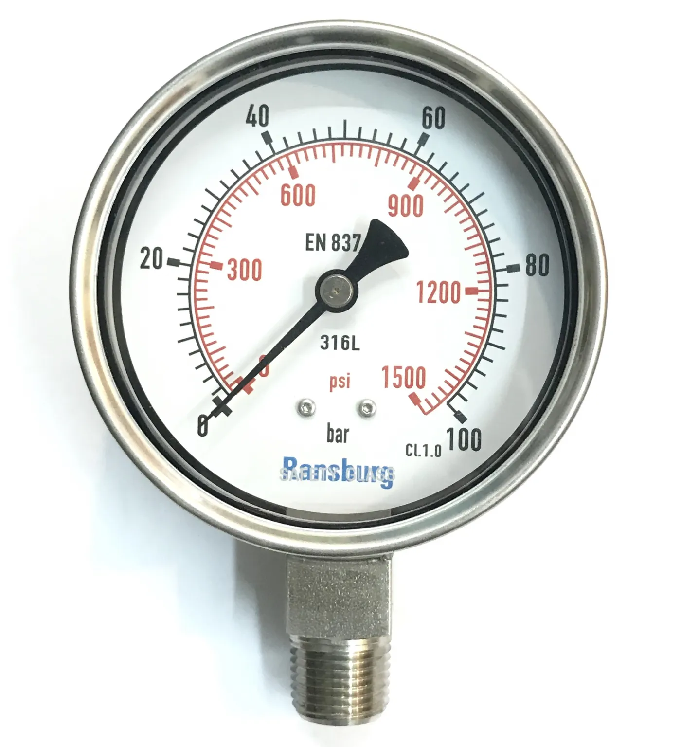 RWS 2410B Pressure Gauge 316L