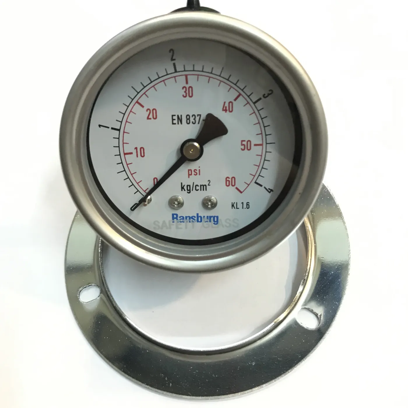 RWS 110 Pressure Gauge